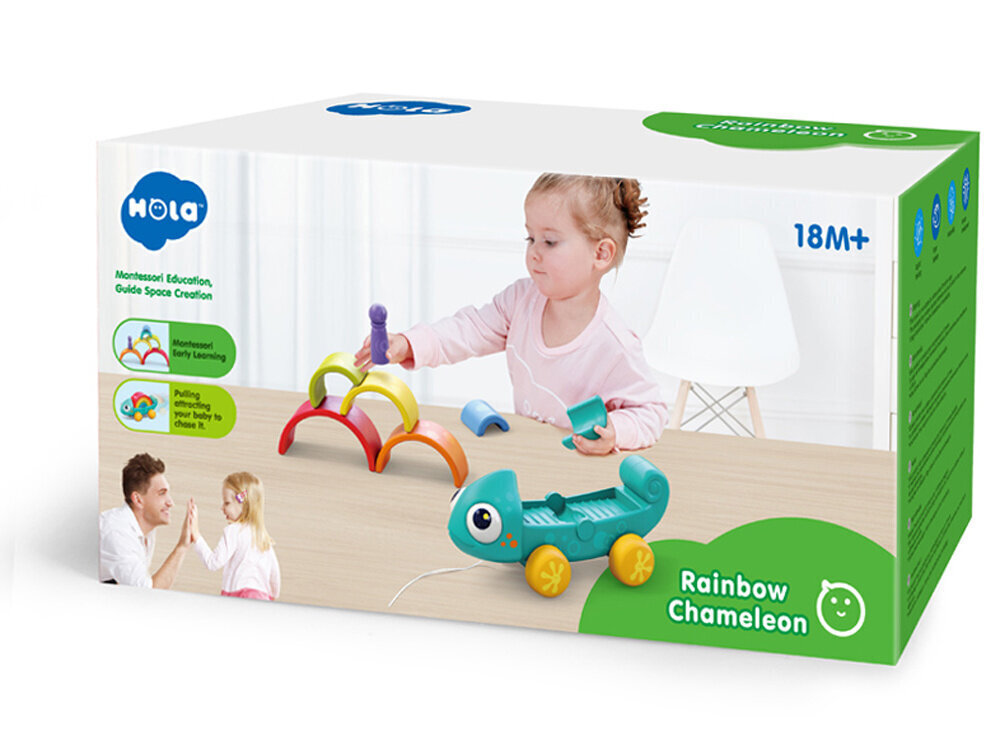 Montessori-palapeli, sateenkaarikameleontti hinta ja tiedot | Kehittävät lelut | hobbyhall.fi