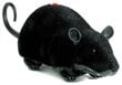 Kauko-ohjattava R/C hiiri pyörillä, musta hinta ja tiedot | Poikien lelut | hobbyhall.fi