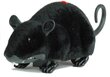 Kauko-ohjattava R/C hiiri pyörillä, musta hinta ja tiedot | Poikien lelut | hobbyhall.fi