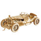 TM Varvikas koottava vintage auto V8 Grand Prix Car RA001e hinta ja tiedot | LEGOT ja rakennuslelut | hobbyhall.fi