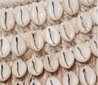 Peili Bazar Bazir The Raffia Cowrie, beige/valkoinen hinta ja tiedot | Peilit | hobbyhall.fi