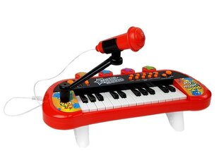 Lasten piano 24 näppäintä USB-mikrofonilla, punainen hinta ja tiedot | Kehittävät lelut | hobbyhall.fi