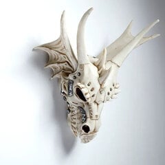 Sisustus - Dragon Skull hinta ja tiedot | Sisustustuotteet | hobbyhall.fi