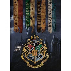 Lasten peitto Harry Potter, 100x140 cm hinta ja tiedot | Päiväpeitot ja huovat | hobbyhall.fi