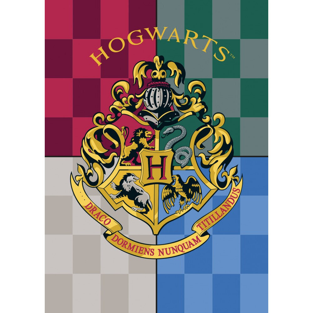 Lasten peitto Harry Potter, 100x140 cm hinta ja tiedot | Päiväpeitot ja huovat | hobbyhall.fi