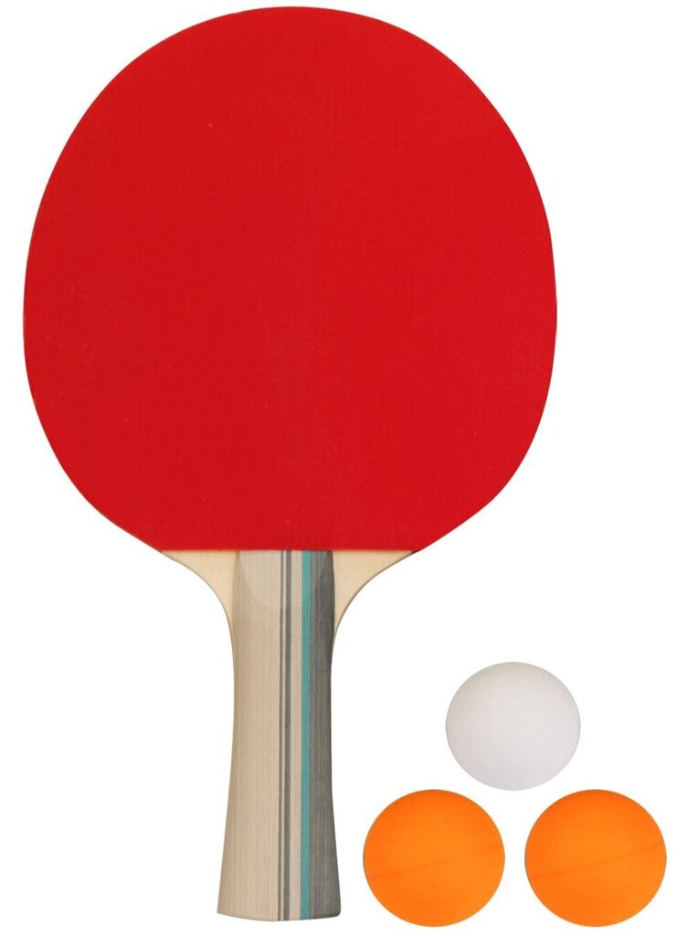 Pöytätennissetti Avento 46TM hinta ja tiedot | Pingismailat | hobbyhall.fi