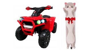 Sähkömönkijä Bmw Quad R-sport J8, punainen + pehmotyyny Cat, 50 cm hinta ja tiedot | Lasten sähköautot | hobbyhall.fi