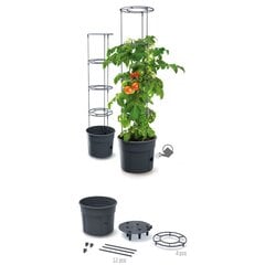 Tomaattiastia, 12 l hinta ja tiedot | Istutusruukut ja minikasvihuoneet | hobbyhall.fi