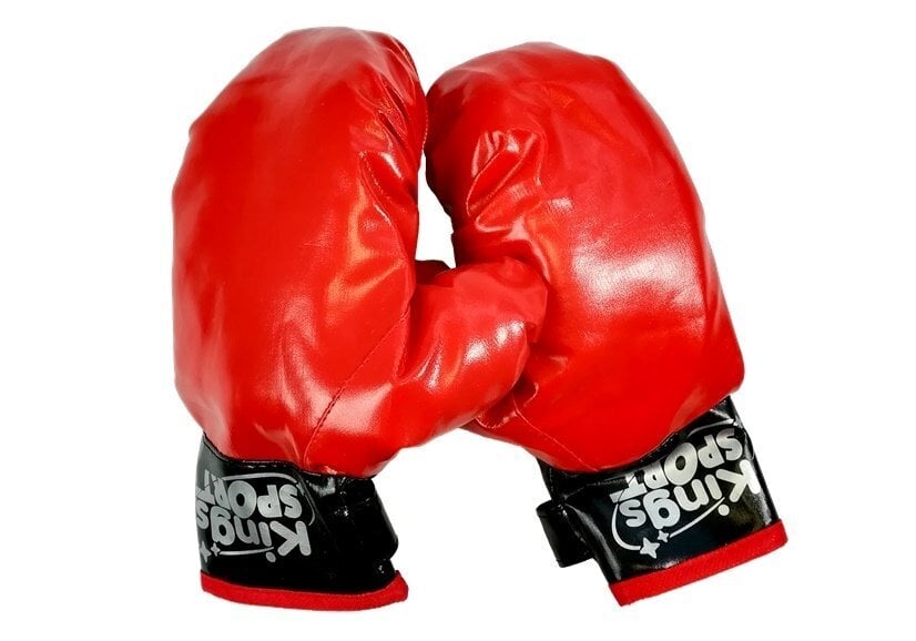 Star Boxing -lasten nyrkkeilysetti hinta ja tiedot | Kamppailulajit | hobbyhall.fi