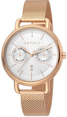 Esprit Ellen ES1L179M0095 hinta ja tiedot | Naisten kellot | hobbyhall.fi