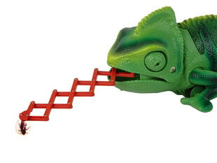 Kauko-ohjattava vihreä kameleontti, 28 cm hinta ja tiedot | Poikien lelut | hobbyhall.fi
