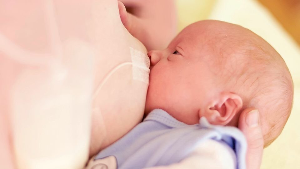 Supplemental Breastfeeding System Medela 009.0005 (Kunnostettu C) hinta ja tiedot | Tuttipullot ja tarvikkeet | hobbyhall.fi