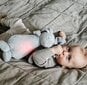 Yövalo äänillä Moonie-kani, hopeanvärinen hinta ja tiedot | Vauvan lelut | hobbyhall.fi