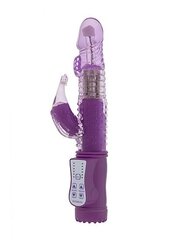 Vibrating Dolphin -vibraattori, violetti hinta ja tiedot | Vibraattorit | hobbyhall.fi