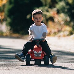 Traktori perävaunulla - Baby Massey Ferguson, punainen. hinta ja tiedot | Vauvan lelut | hobbyhall.fi