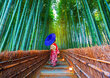 Palapeli nainen bambumetsässä 1000 kpl hinta ja tiedot | Palapelit | hobbyhall.fi
