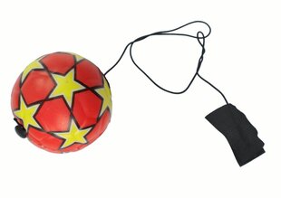 Pallo narussa, punainen, 6 cm, 1 kpl. hinta ja tiedot | Kehittävät lelut | hobbyhall.fi