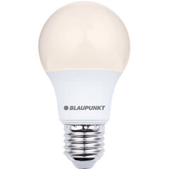 Blaupunkt LED-lamppu E27 9W, lämmin valkoinen hinta ja tiedot | Lamput | hobbyhall.fi