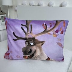 Lasten vuodevaatteet setti Frozen, 100x135, 2 osaa hinta ja tiedot | Vuodevaatteet lapsille | hobbyhall.fi