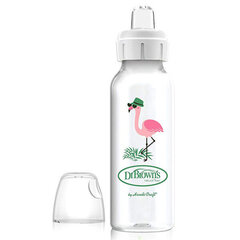 Tuttipullo Dr. Brown's Flamingo SB81094, 6+ kk, 250 ml hinta ja tiedot | Dr. Brown's Vauvatarvikkeet | hobbyhall.fi