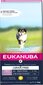 Eukanuba Puppy Grain Free L isojen rotujen pennuille, 12 kg hinta ja tiedot | Koiran kuivaruoka | hobbyhall.fi