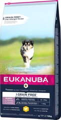 Eukanuba Puppy Grain Free L isojen rotujen pennuille, 12 kg hinta ja tiedot | Koiran kuivaruoka | hobbyhall.fi