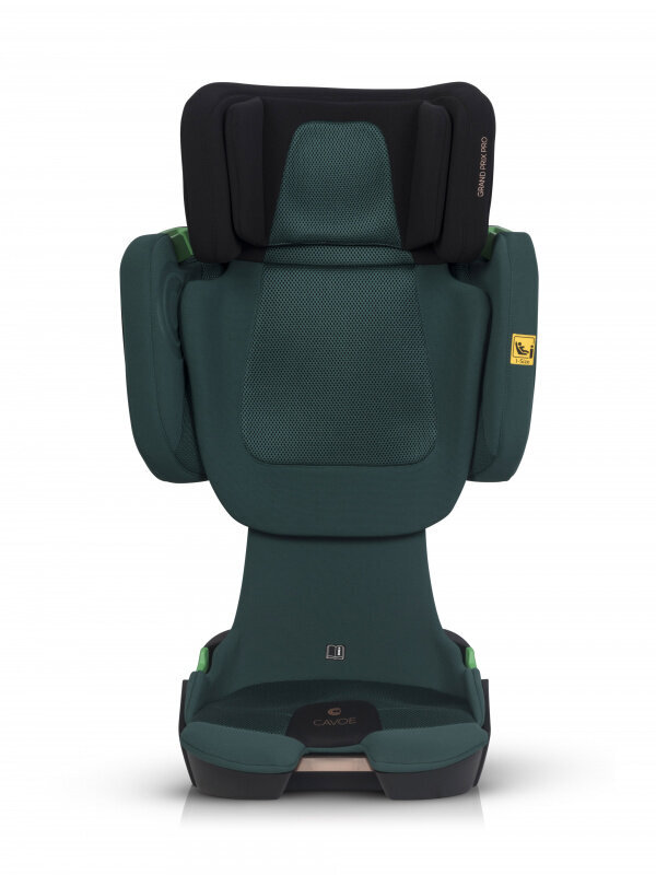 Cavoe Grand Prix Pro Isofix -turvaistuin, 15-36 kg, Forest hinta ja tiedot | Turvaistuimet | hobbyhall.fi