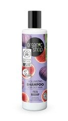 Shampoo rasvaisille hiuksille Organic Shop viikuna ja ruusunmarja, 280 ml hinta ja tiedot | Organic Shop Hiustenhoitotuotteet | hobbyhall.fi