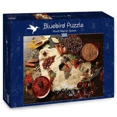 Palapeli maailman kartta mausteissa Bluebird Puzzle, 3000 kpl hinta ja tiedot | Palapelit | hobbyhall.fi