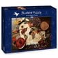 Palapeli maailman kartta mausteissa Bluebird Puzzle, 3000 kpl hinta ja tiedot | Palapelit | hobbyhall.fi