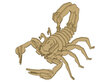 Puinen 3D skorpioni 35 kpl hinta ja tiedot | Palapelit | hobbyhall.fi