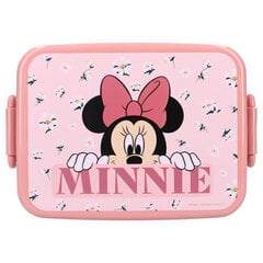 Lasten lounaslaatikko Minnie Mouse Hyvää ruokahalua! hinta ja tiedot | Vadobag Koti ja keittiö | hobbyhall.fi