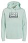 Huppari Jack & Jones 12249326SOOTHINGSEA-XS hinta ja tiedot | Miesten puserot ja hupparit | hobbyhall.fi