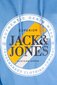Huppari Jack & Jones 12250266PACIFICCOAST-S hinta ja tiedot | Miesten puserot ja hupparit | hobbyhall.fi