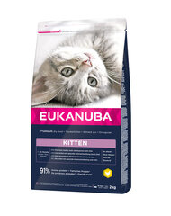 Eukanuba Cat Kitten All Breeds Healthy Start kissanpennuille kananlihalla ja maksalla, 10 kg hinta ja tiedot | Kissan kuivaruoka | hobbyhall.fi