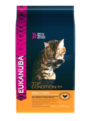 Eukanuba Cat Adult All Breeds Top Condition aikuisille kissoille kanalla ja maksalla, 2 kg hinta ja tiedot | Kissan kuivaruoka | hobbyhall.fi