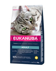 Eukanuba Cat Adult All Breeds Top Condition aikuisille kissoille kanalla ja maksalla, 2 kg hinta ja tiedot | Kissan kuivaruoka | hobbyhall.fi