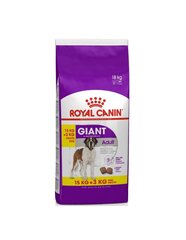 Royal Canin Giant Adult täysravinto koirille 15 kg hinta ja tiedot | Koiran kuivaruoka | hobbyhall.fi