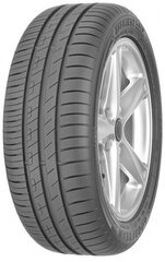 Goodyear EfficientGrip Performance Fi 205/55R16 91 V FI hinta ja tiedot | Kesärenkaat | hobbyhall.fi