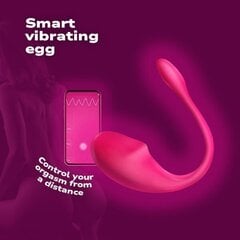 Smart Vibe Egg, vaaleanpunainen. Blue Lotus hinta ja tiedot | Vibraattorit | hobbyhall.fi