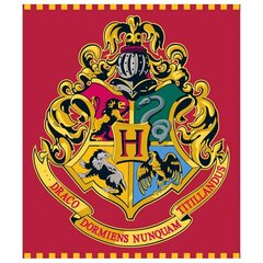Harry Potter peitto, 120x150 cm hinta ja tiedot | Peitot | hobbyhall.fi