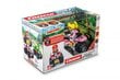 Ajoneuvo RC Quad Mario Princess Peach 2.4GHz hinta ja tiedot | Poikien lelut | hobbyhall.fi