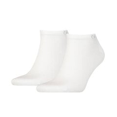 Calvin Klein miesten sukat 2 kpl, valkoinen hinta ja tiedot | Miesten sukat | hobbyhall.fi
