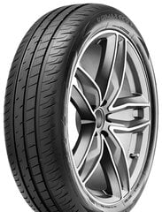 Radar DIMAX ECO 195/55R20 95 H XL hinta ja tiedot | Kesärenkaat | hobbyhall.fi