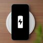 Matt, Xiaomi Redmi Note 12 Pro (6,67″) - Tummanvihreä hinta ja tiedot | Puhelimen kuoret ja kotelot | hobbyhall.fi