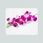 Plaid violetti tummanpunainen orkidea hinta ja tiedot | Päiväpeitot ja huovat | hobbyhall.fi