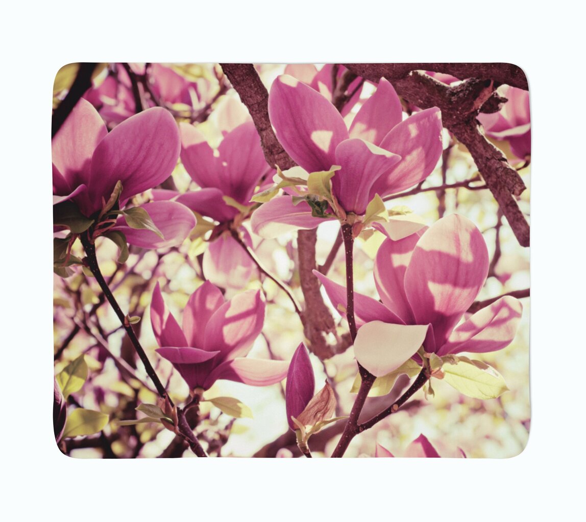 Pinkki magnoliahuopa hinta ja tiedot | Päiväpeitot ja huovat | hobbyhall.fi