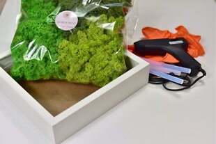 DIY-sarja stabiloitua sammalta hinta ja tiedot | Kestoruusut | hobbyhall.fi