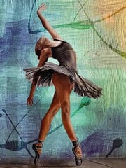 Maalaus numeroiden mukaan TM Varvikas - Graceful ballerina ME1158e 30x40 cm hinta ja tiedot | Maalaa numeroiden mukaan | hobbyhall.fi