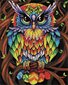 Timanttimosaiikkisetti Ipicasso Rainbow pöllö, 40x50 cm hinta ja tiedot | Timanttimaalaukset | hobbyhall.fi